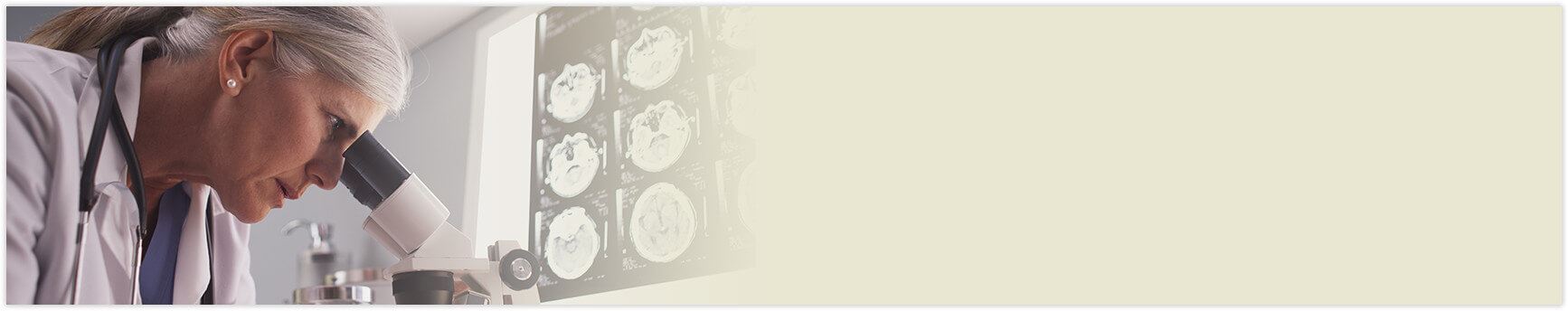 Subpage Banner Image